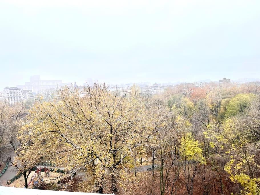 Апартаменты Panoramic Lil' Paris Бухарест Экстерьер фото